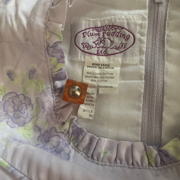 Plum Pudding Dress 3t - Picture 3 of 5